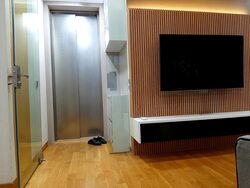 The Peak @ Cairnhill II (D9), Apartment #401224631